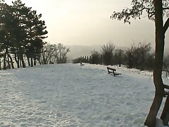 They are so mischievous that they have bang-out in the snow shamelessly