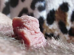 extraordinary close up clitoris