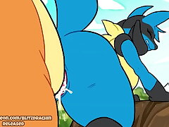 Lucario rode by Charizard