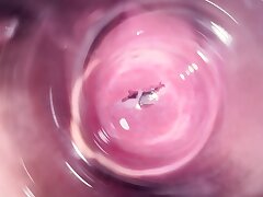 Inwards Mia's vagina, inward camera in teen vagina