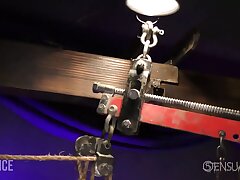 Smooth-shaven marionette in cage with thick ball gag